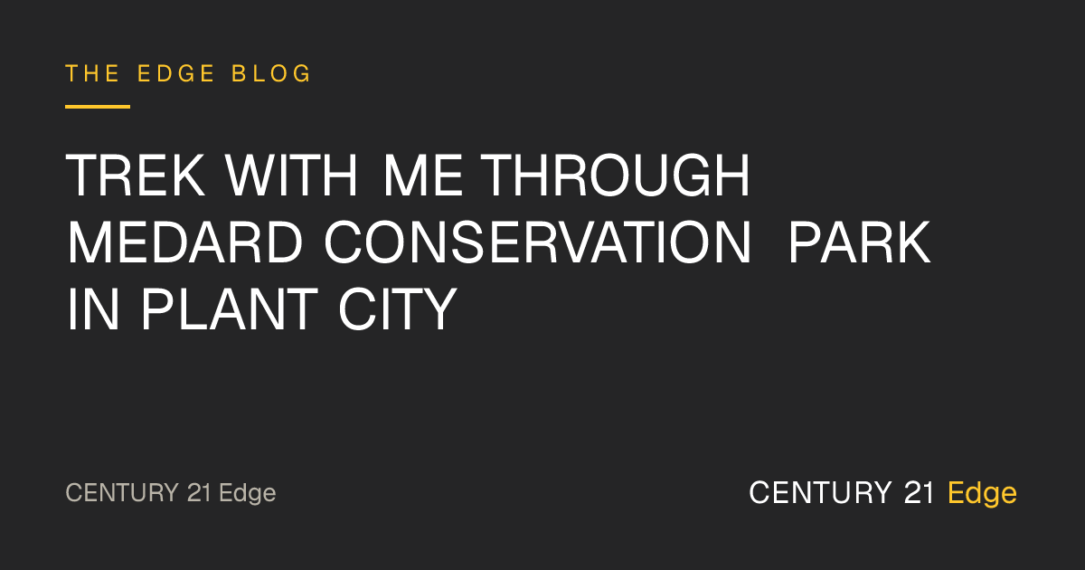 Trek With Me Through Medard Conservation Park in Plant City